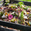 Composting