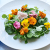 Edible flowers on a plate