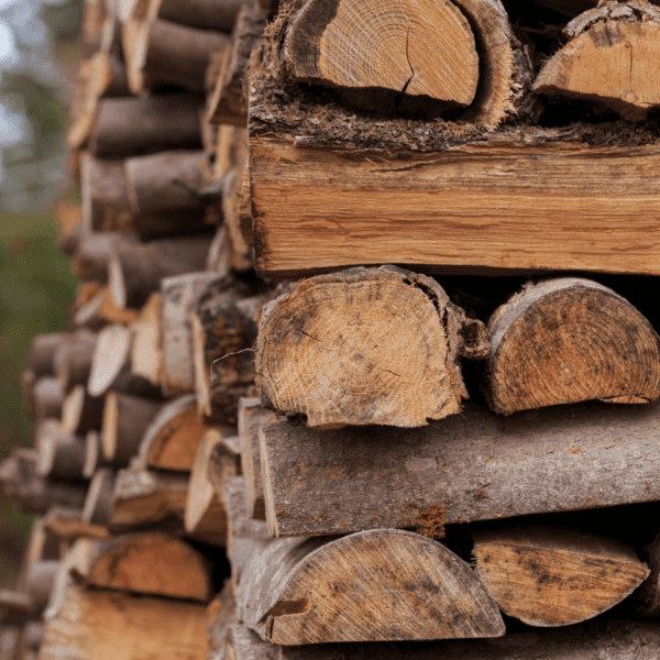 Stacked firewood