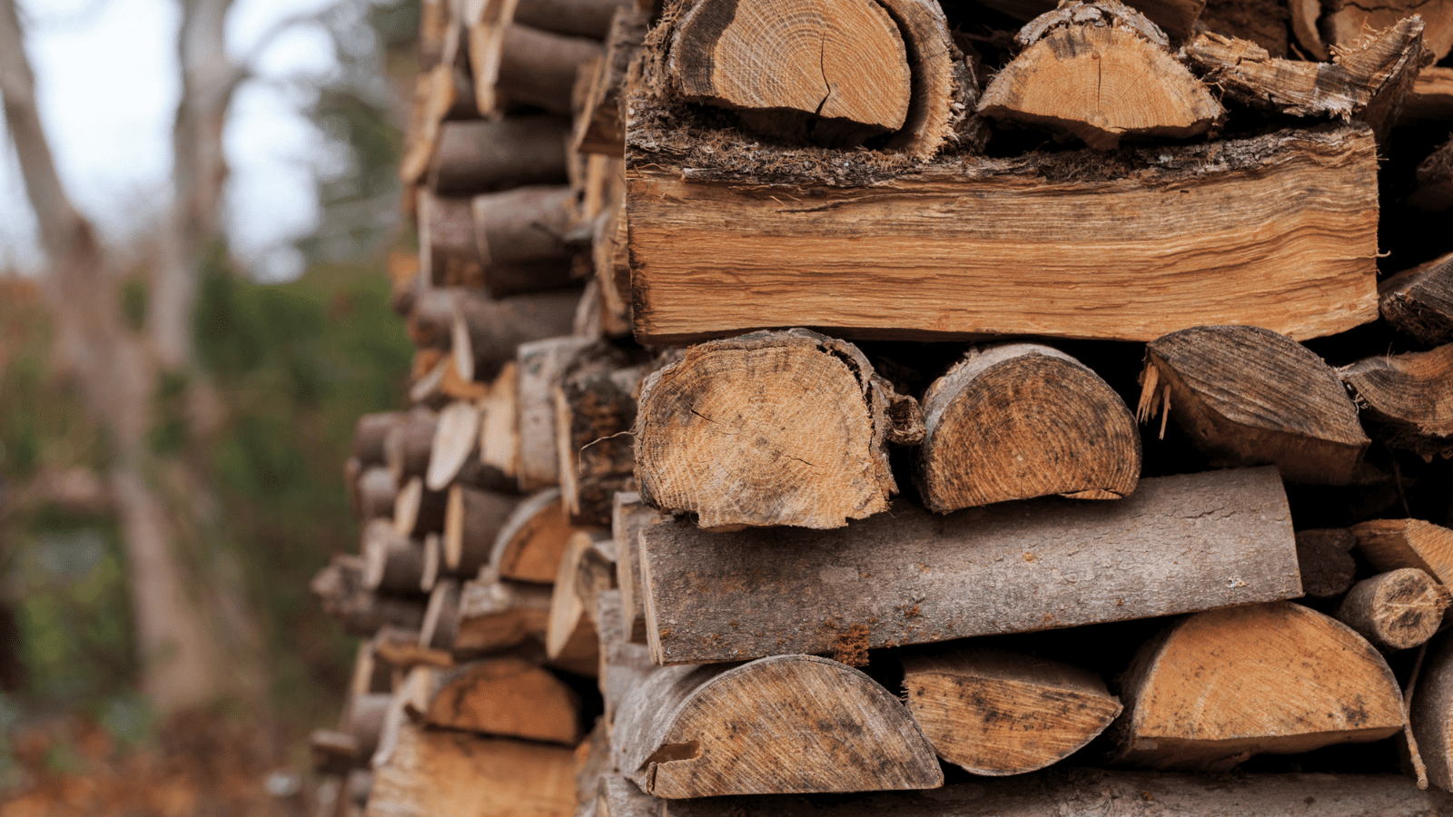 Stacked firewood