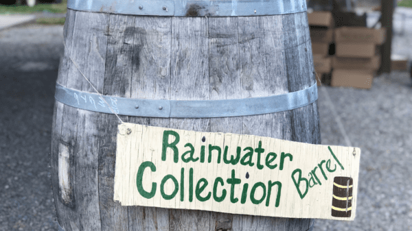 Rainwater barrel